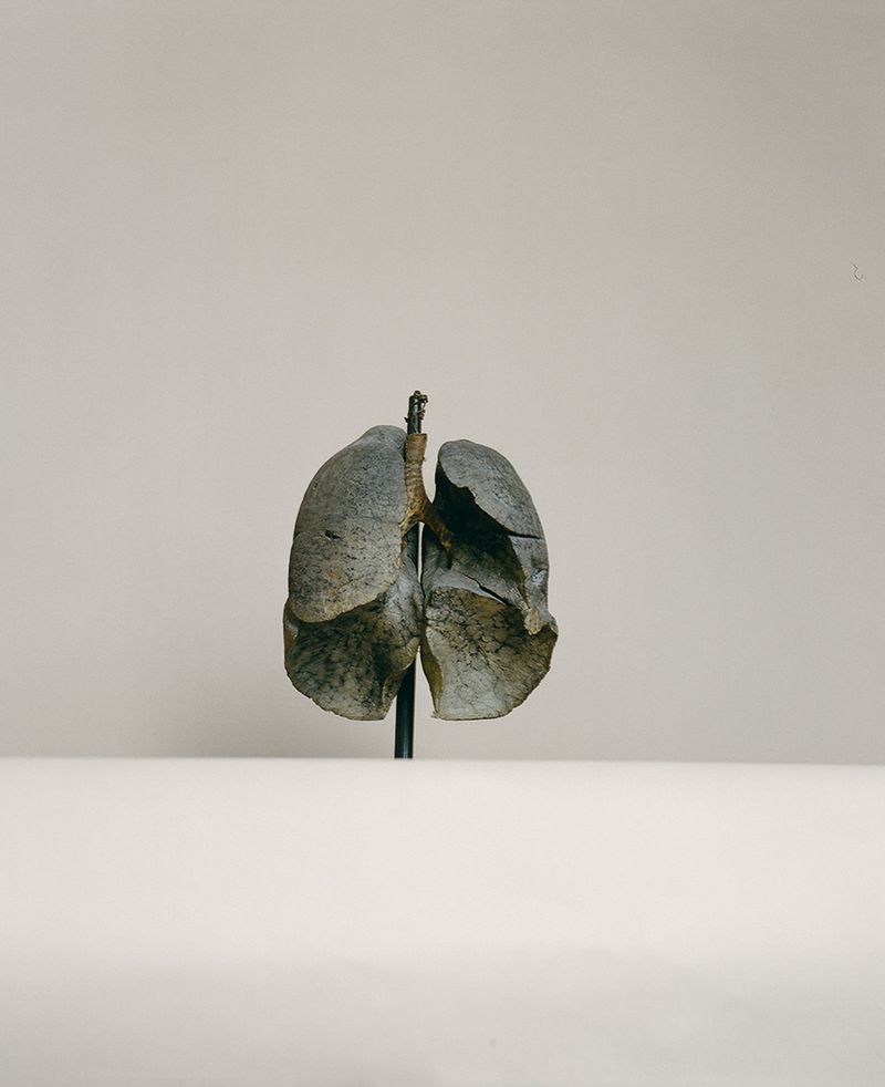 © Jakub Stanek - Image from the IN anticipation of the sun photography project