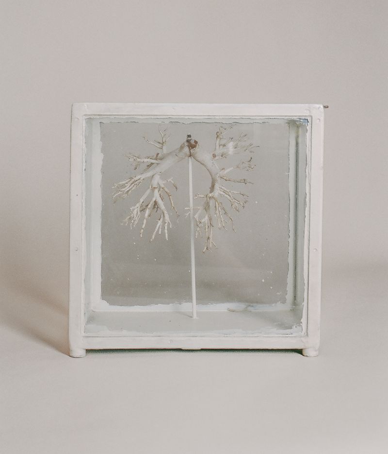 © Jakub Stanek - Image from the IN anticipation of the sun photography project