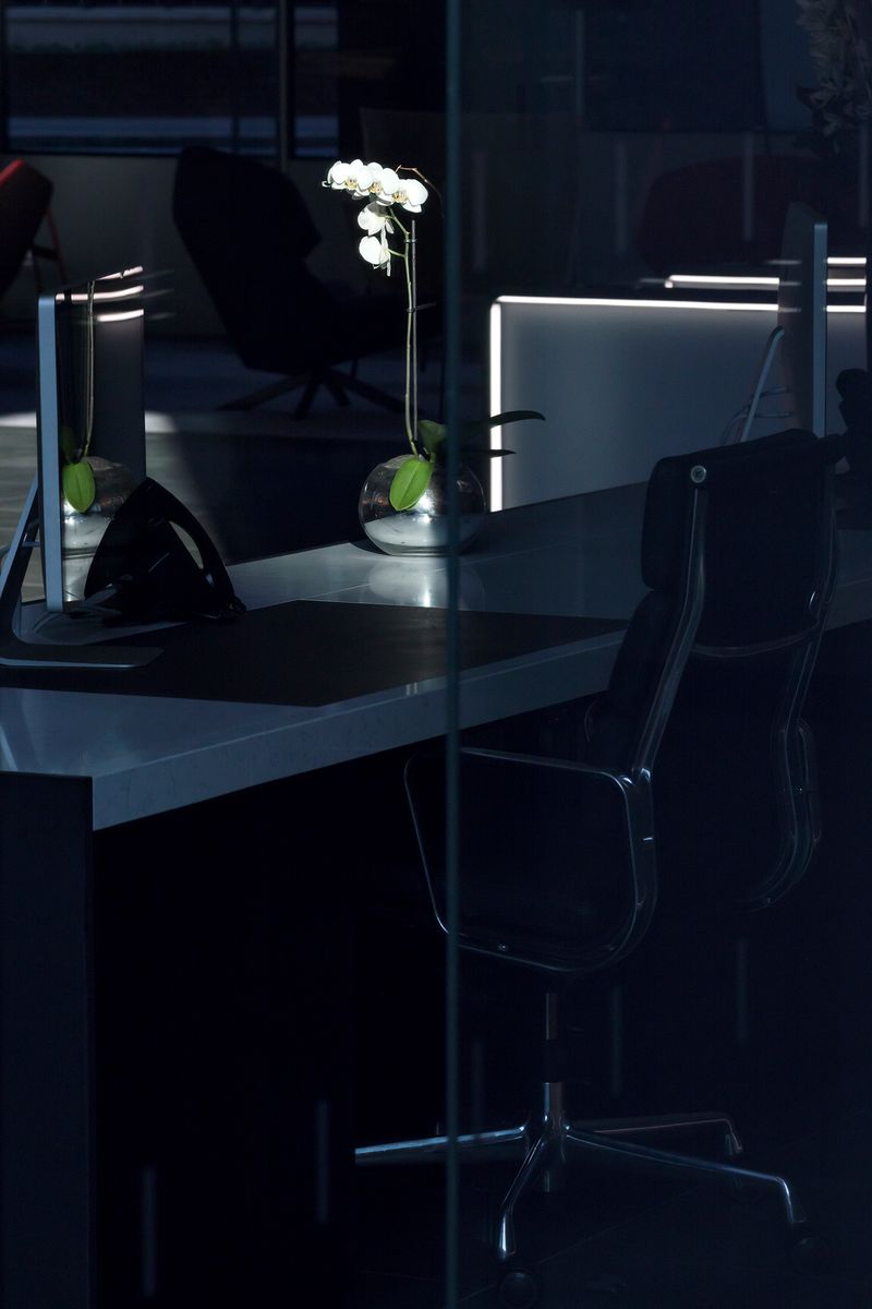 © Julius C Schreiner - Image from the Excl. photography project