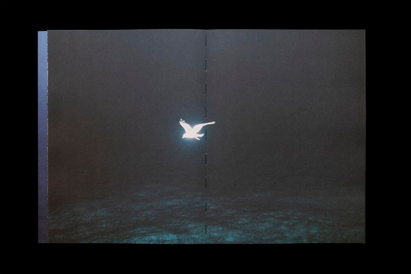 Image from a project on PhMuseum