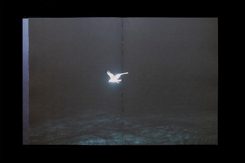 Image from a project on PhMuseum