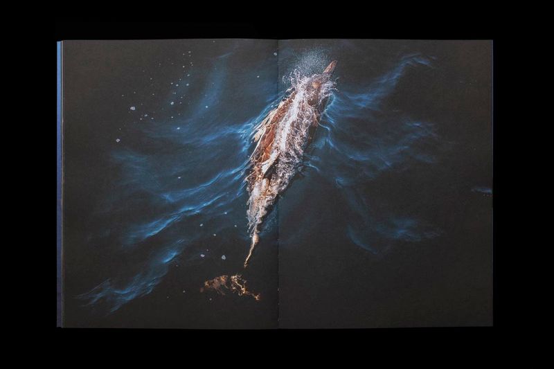 Image from a project on PhMuseum