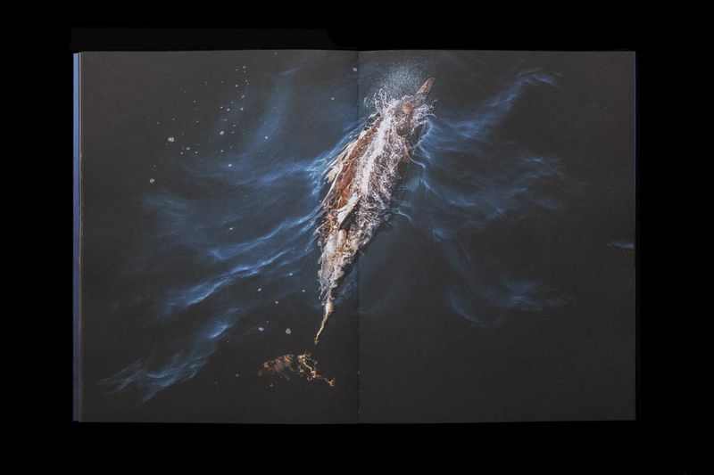 Image from a project on PhMuseum