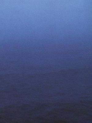 The Margin of the Horizon