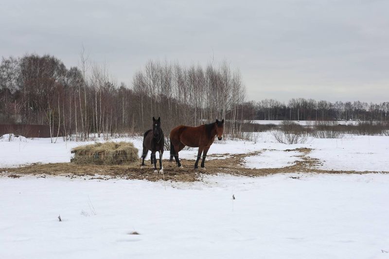 © Polina Akinina - Image from the Zvyagino River club photography project