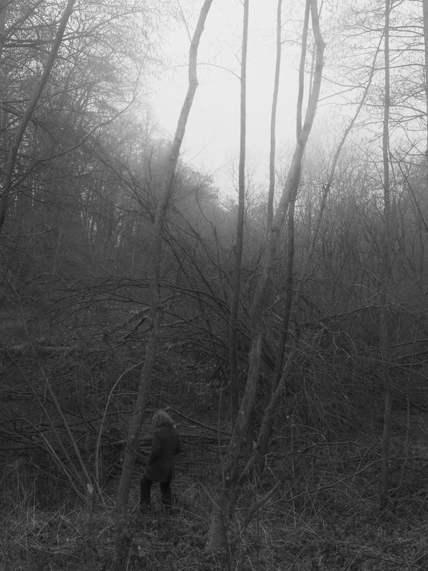 © Nick Somers - 'K' in the forest after leaving their home.