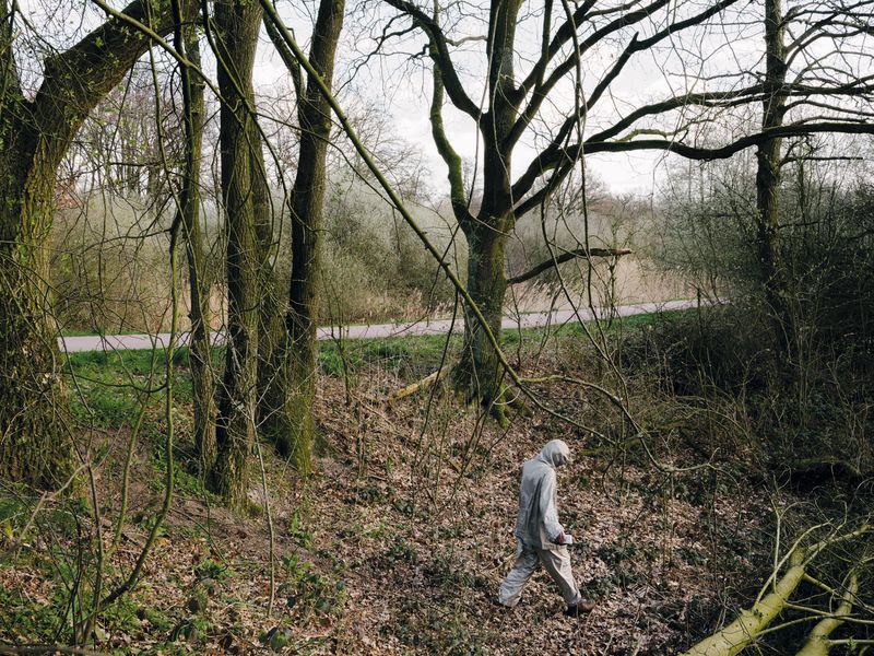 © Nick Somers - Hiding beneath ground level.