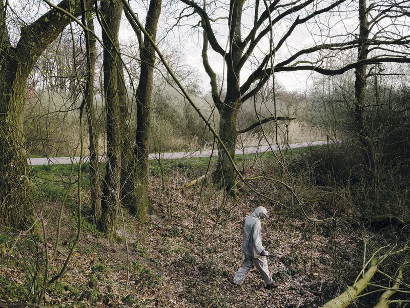 © Nick Somers - Hiding beneath ground level.