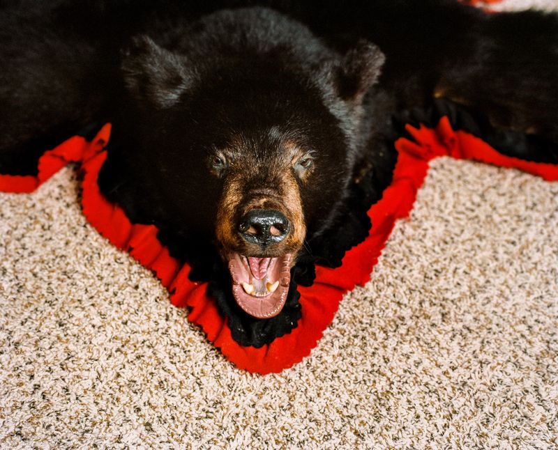 © Jose Castrellon - Image from the "Under a New Sun" photography project