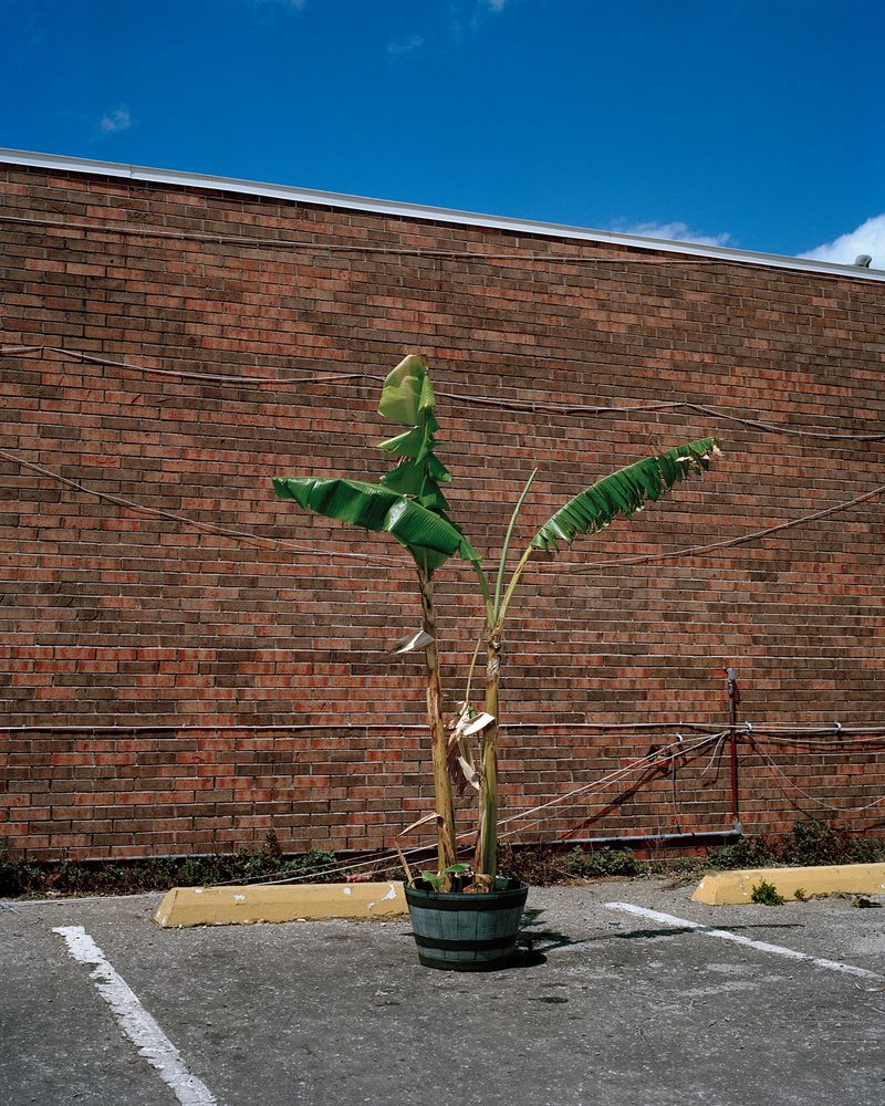 © Jose Castrellon - Image from the "Palindrome" photography project