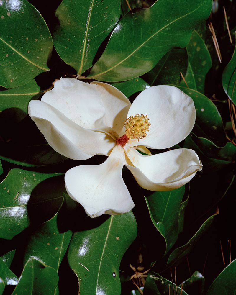 © Jose Castrellon - Image from the "Palindrome" photography project