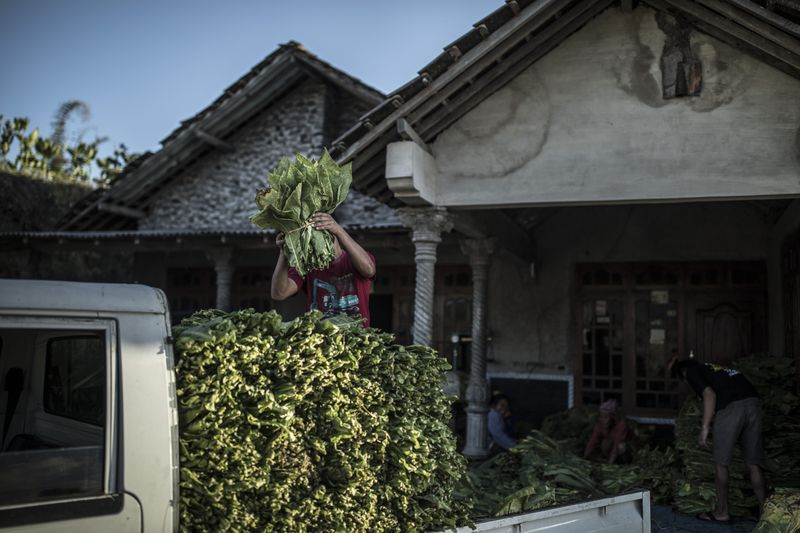 © Jordan Sirek - Image from the Covered In Ash photography project