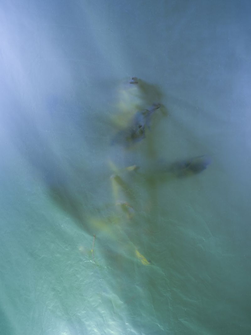 © Tine Poppe - Image from the Still Life behind Plastic with Sweltering Heat and Rising Seas photography project