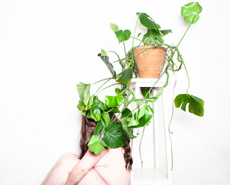 © vanessa fairfax-woods - Image from the and so, I act cold photography project