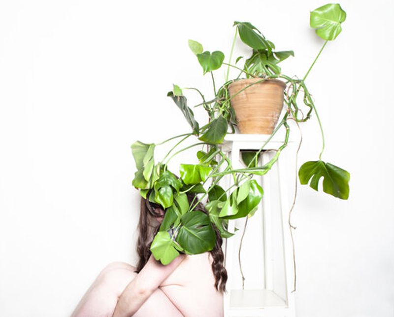 © vanessa fairfax-woods - Image from the and so, I act cold photography project