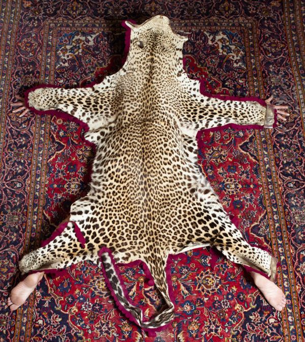 © vanessa fairfax-woods - Image from the and so, I act cold photography project