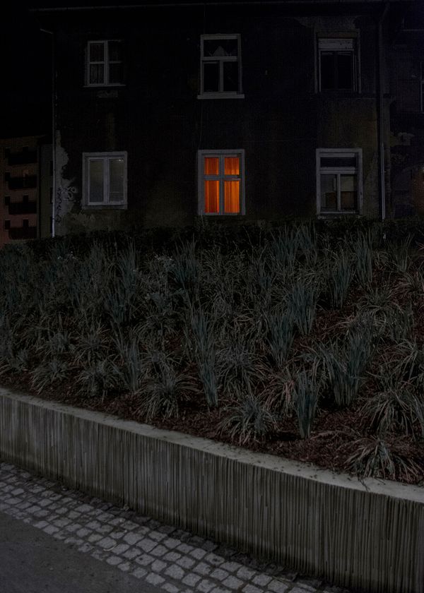 © Marta Szymanowska - Image from the Hydra photography project