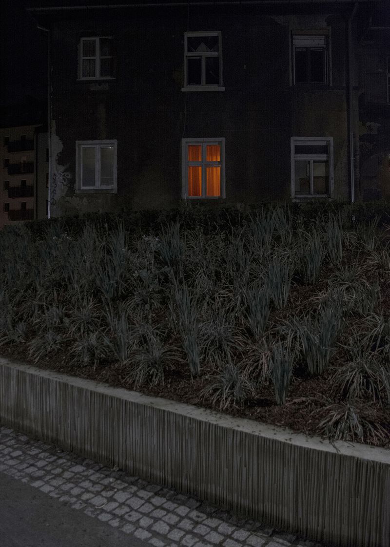 © Marta Szymanowska - Image from the Hydra photography project