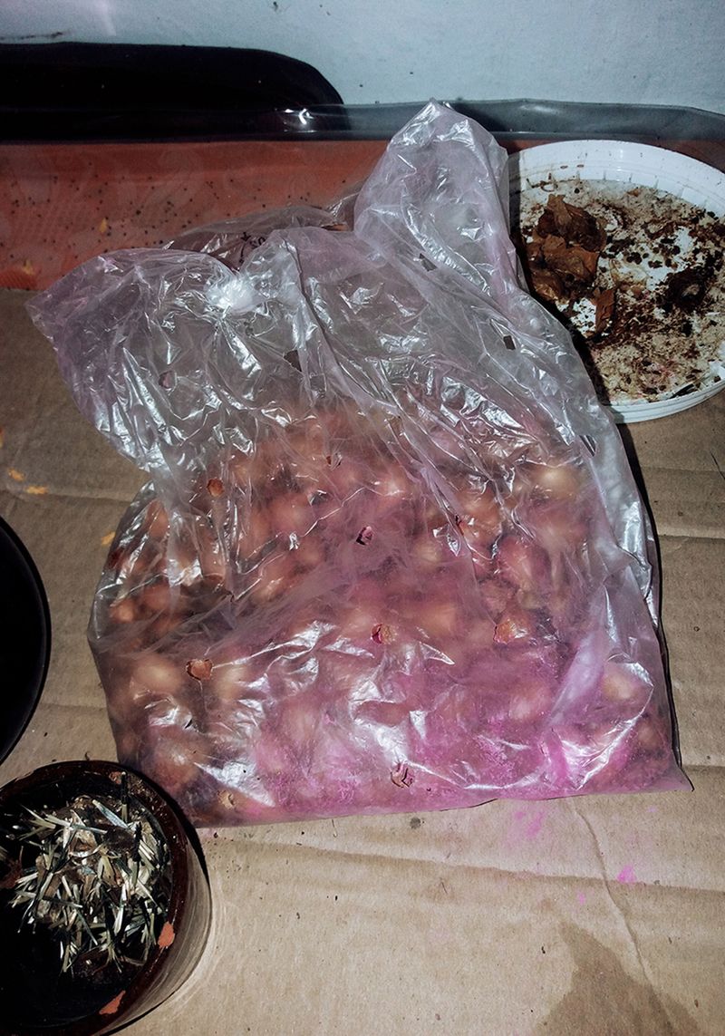 © Marta Szymanowska - Image from the Hydra photography project