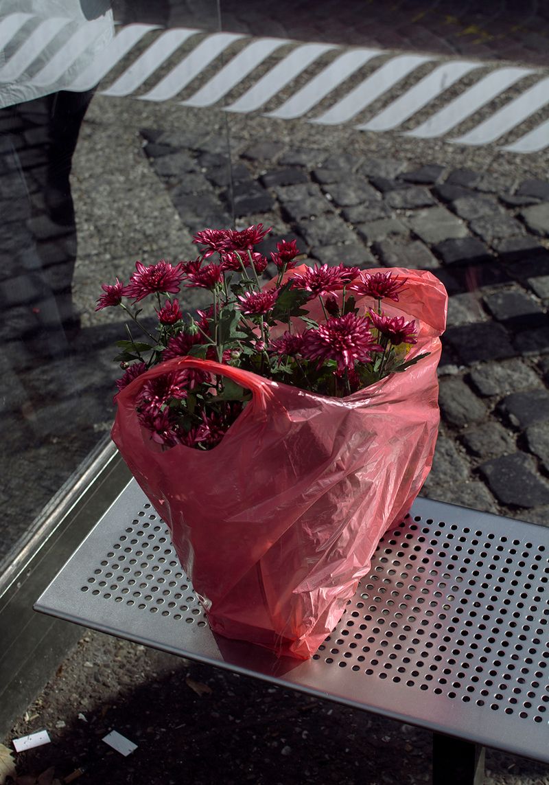 © Marta Szymanowska - Image from the Hydra photography project