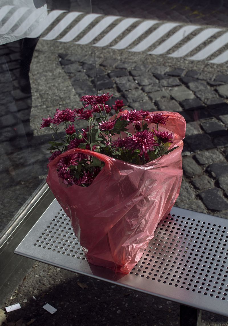 © Marta Szymanowska - Image from the Hydra photography project