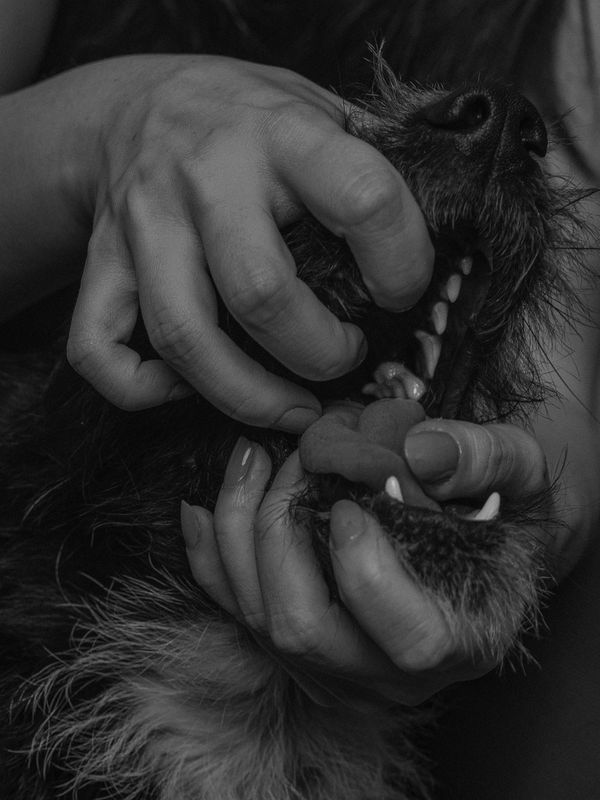 © Marta Szymanowska - A woman who harnesses the fierce male energy and takes the initiative.