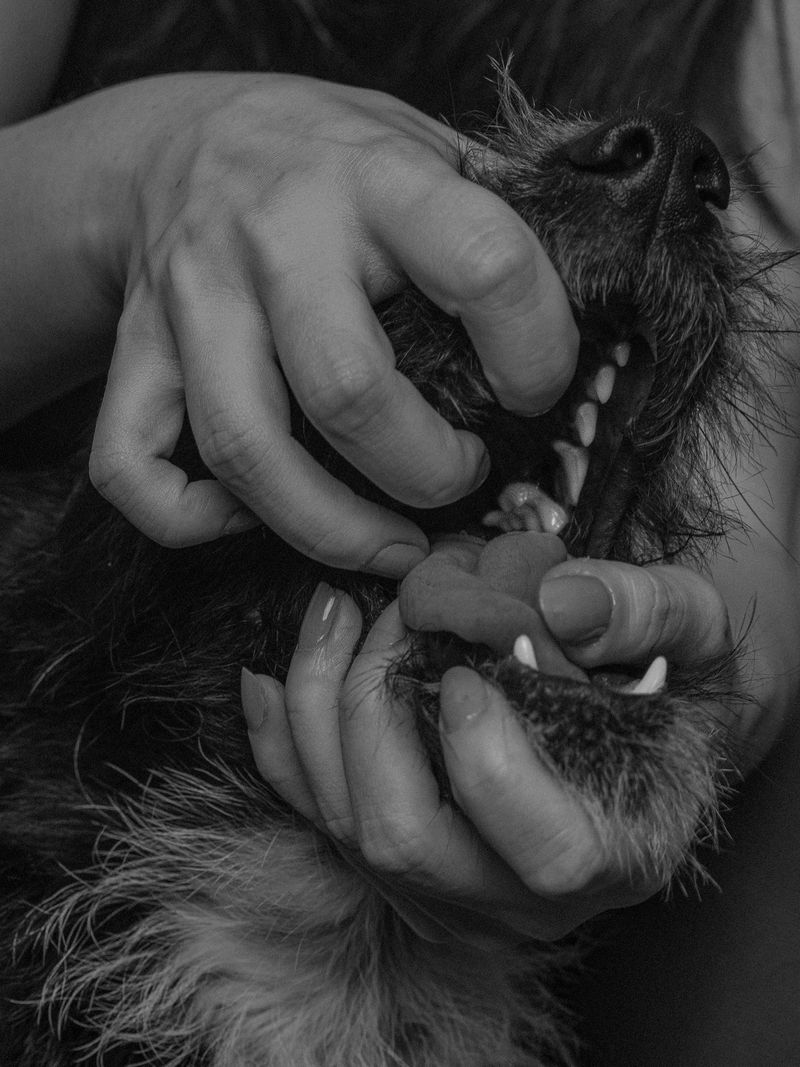 © Marta Szymanowska - A woman who harnesses the fierce male energy and takes the initiative.