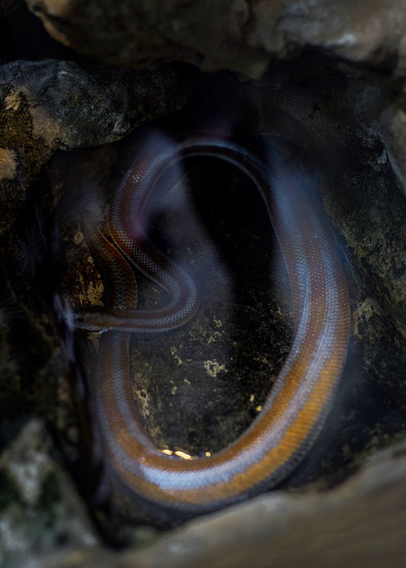 © Marta Szymanowska - Image from the SOUTH SLOPE, NORTH COAST photography project