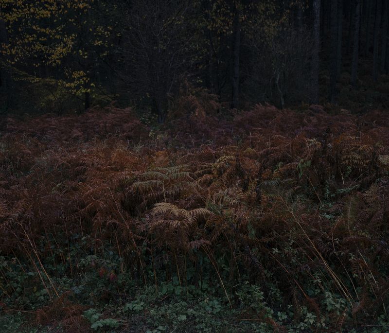 © Vladimir Zivojinovic - Image from the Danube Division photography project