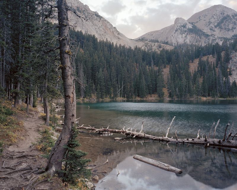 © Bryan Schutmaat - Gallatin National Forest, Montana, 2011