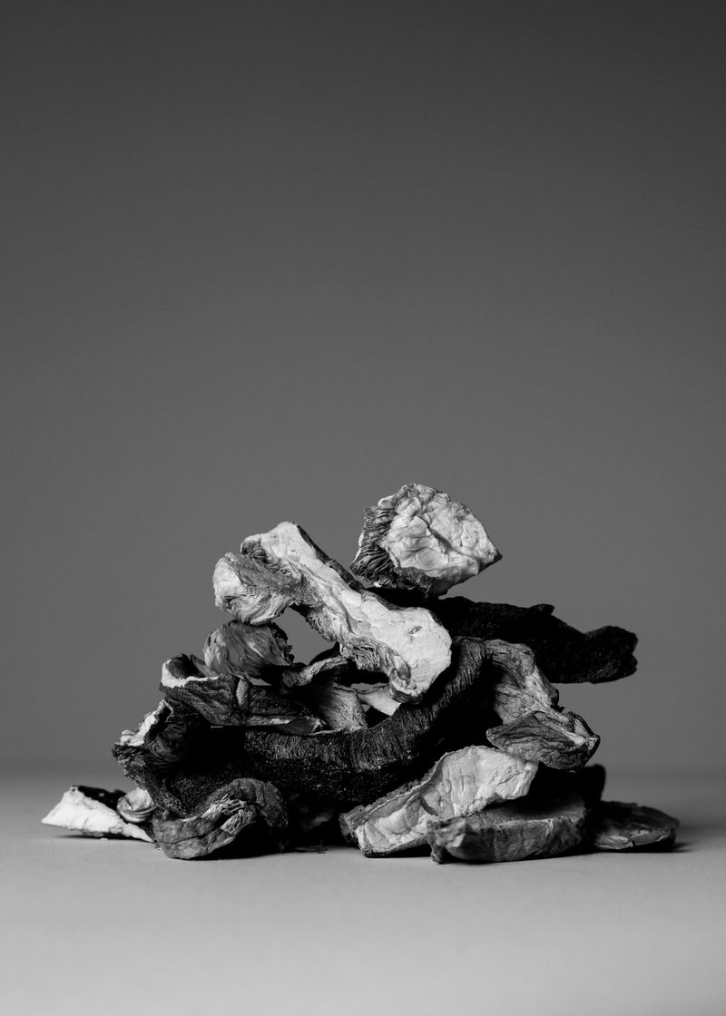 © Alexa Vachon - Image from the Adonis photography project