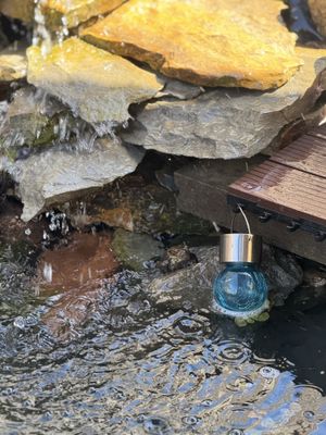 Meine Frösche und Entspannung unter dem Wasserfall In Dresden