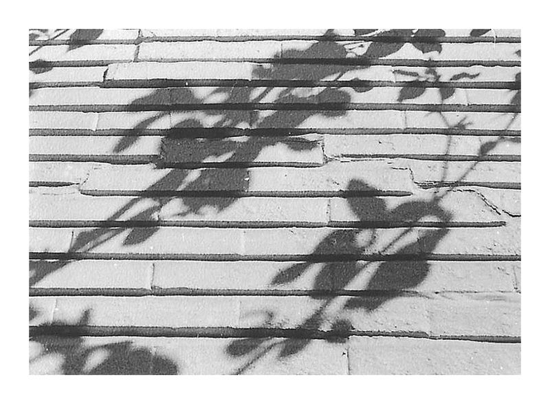 © Chantal Purcell O'Byrne - Image from the A Moment photography project