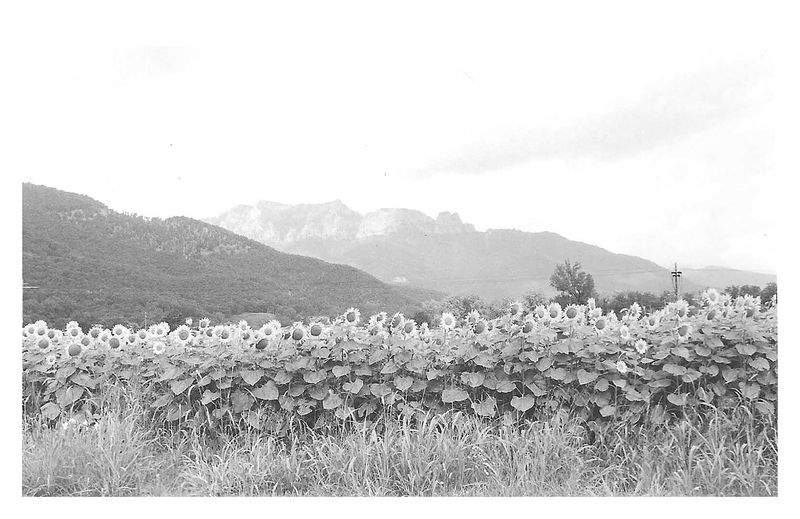 © Chantal Purcell O'Byrne - Image from the A Moment photography project