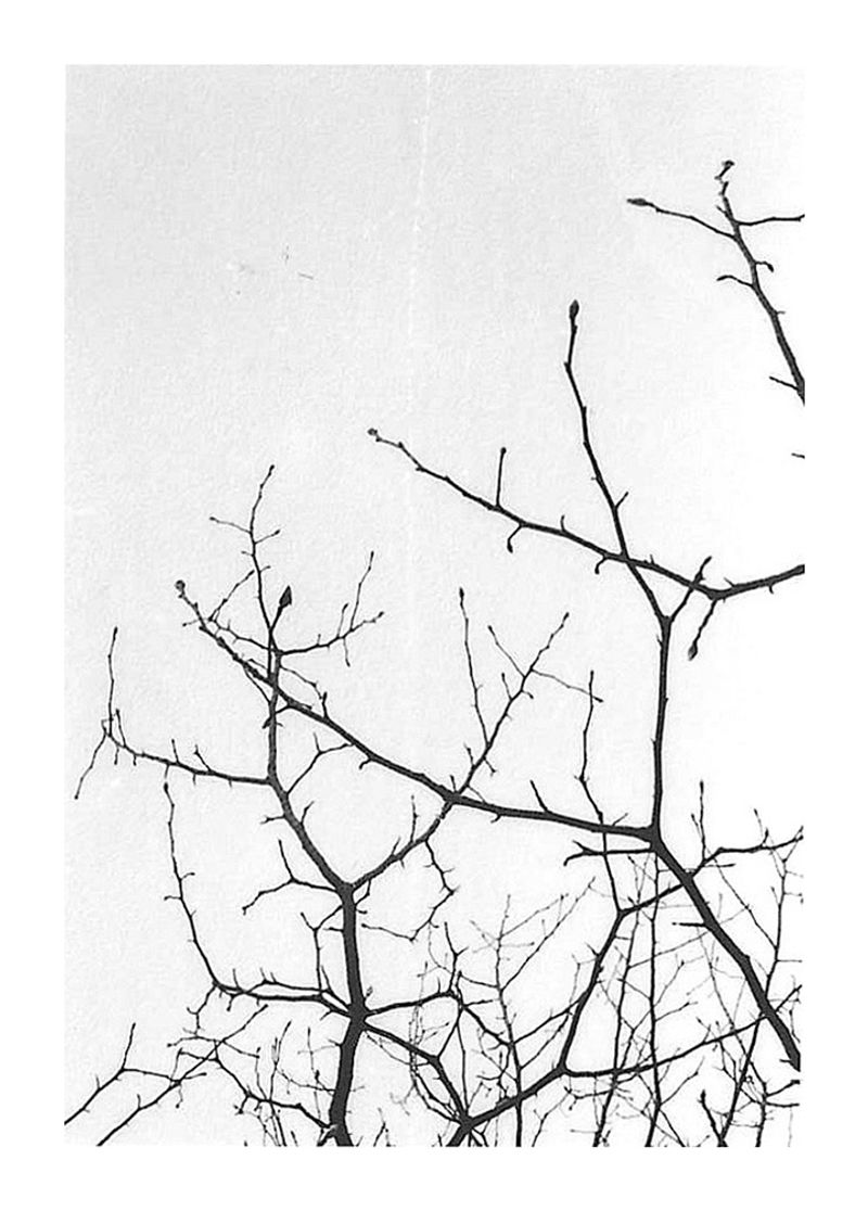 © Chantal Purcell O'Byrne - Image from the A Moment photography project