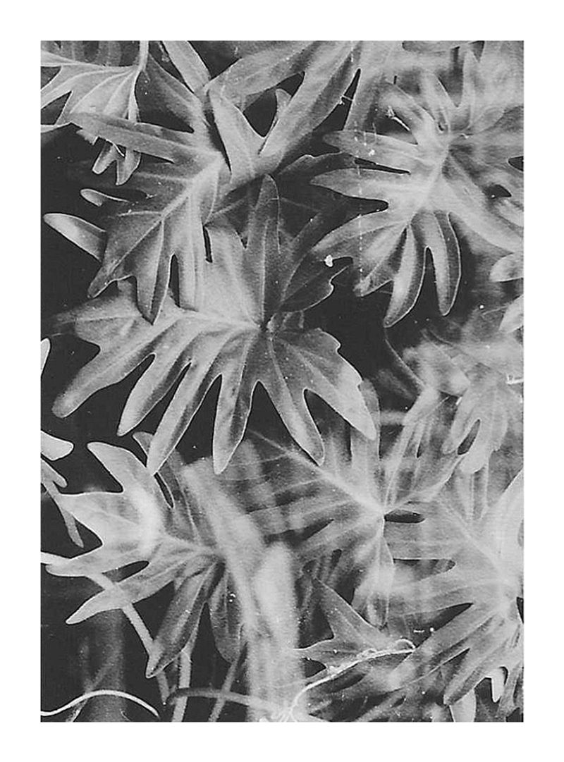 © Chantal Purcell O'Byrne - Image from the A Moment photography project