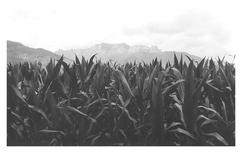 © Chantal Purcell O'Byrne - Image from the A Moment photography project