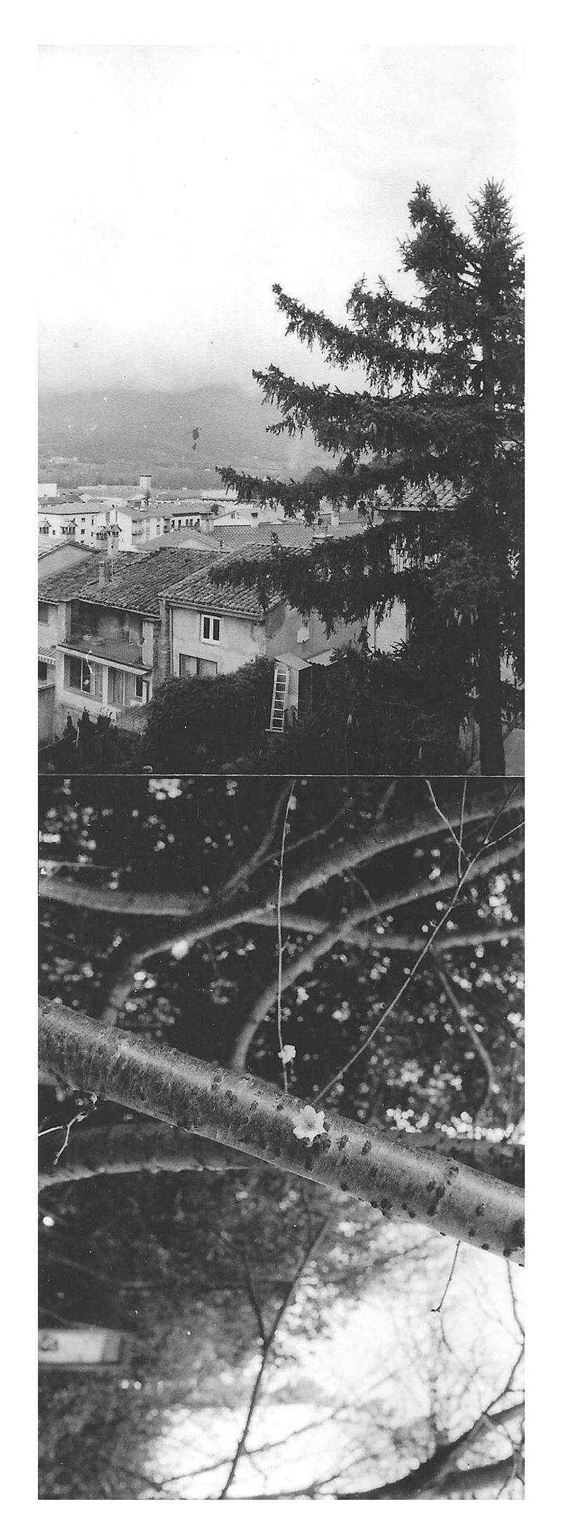© Chantal Purcell O'Byrne - Image from the A Moment photography project