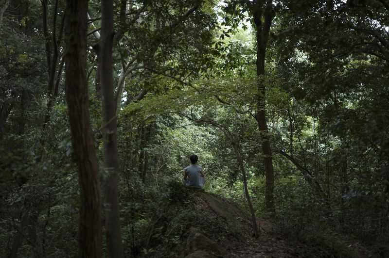 © Arykozhang - Image from the The Forest, lookback and glitter photography project