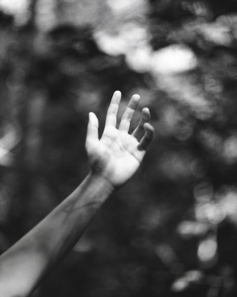© Arykozhang - Forest#27-2  Our bodies, as a yardstick for viewing the forest, my hands tried to touch but couldn't.
