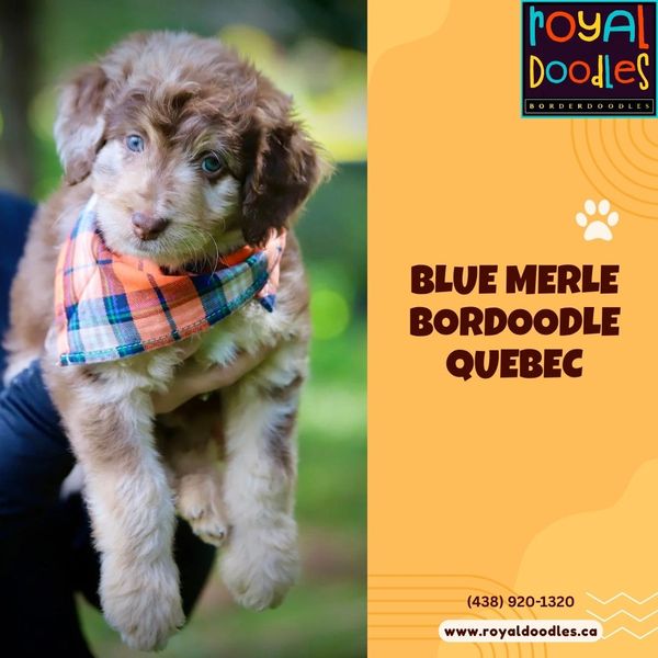 Image from a project on PhMuseum