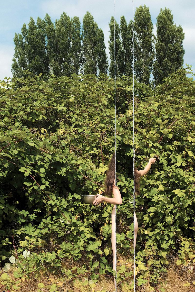 © Christian Nicolay - Nowhere Now Here No. 316Ripped Photograph24 x 162025