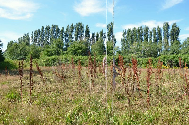 © Christian Nicolay - Nowhere Now Here No. 181Ripped Photograph16x242019-2020