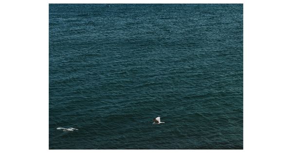 © Asif Shaikh - Drift