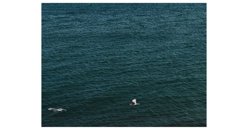 © Asif Shaikh - Drift