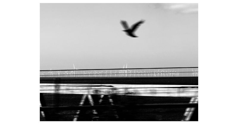 © Asif Shaikh - Leaving frame