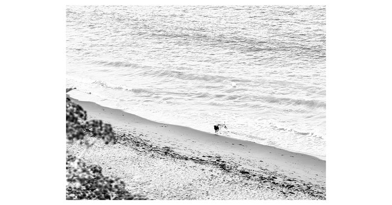 © Asif Shaikh - Title: Along the ShoreProject: The EdgeYear: 2026Medium: Black and White Digital Photography