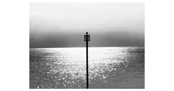 © Asif Shaikh - Title: MarkerProject: The EdgeYear: 2026Medium: Black and White Digital Photography