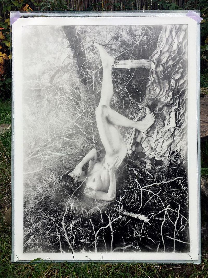 © Ben Mahler - Oilprint on 100% cotton paper. 70x50 cm. Unique print.