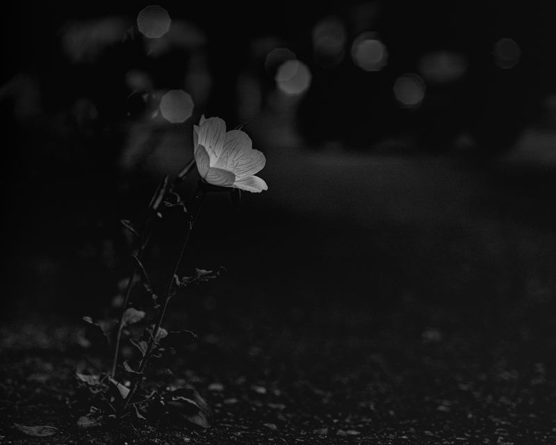 © Keita Hayasaka - Image from the Marebito photography project
